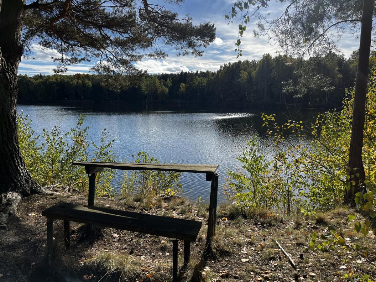Ferienwohnung Am See Dillich - Ruhige Lage - Eigener Garten - Direkt Neben Einem Natursee Borken  Экстерьер фото