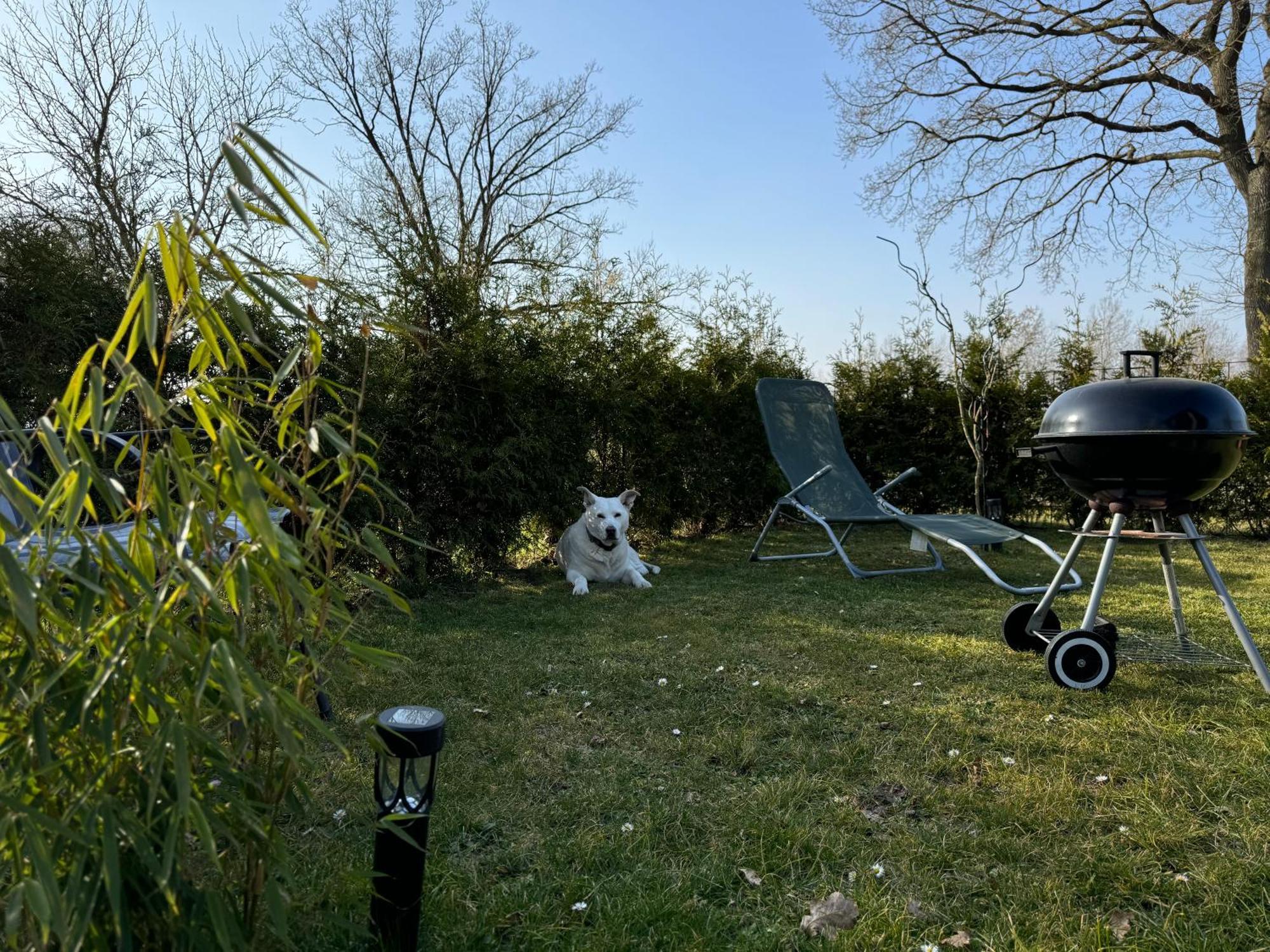 Ferienwohnung Am See Dillich - Ruhige Lage - Eigener Garten - Direkt Neben Einem Natursee Borken  Экстерьер фото