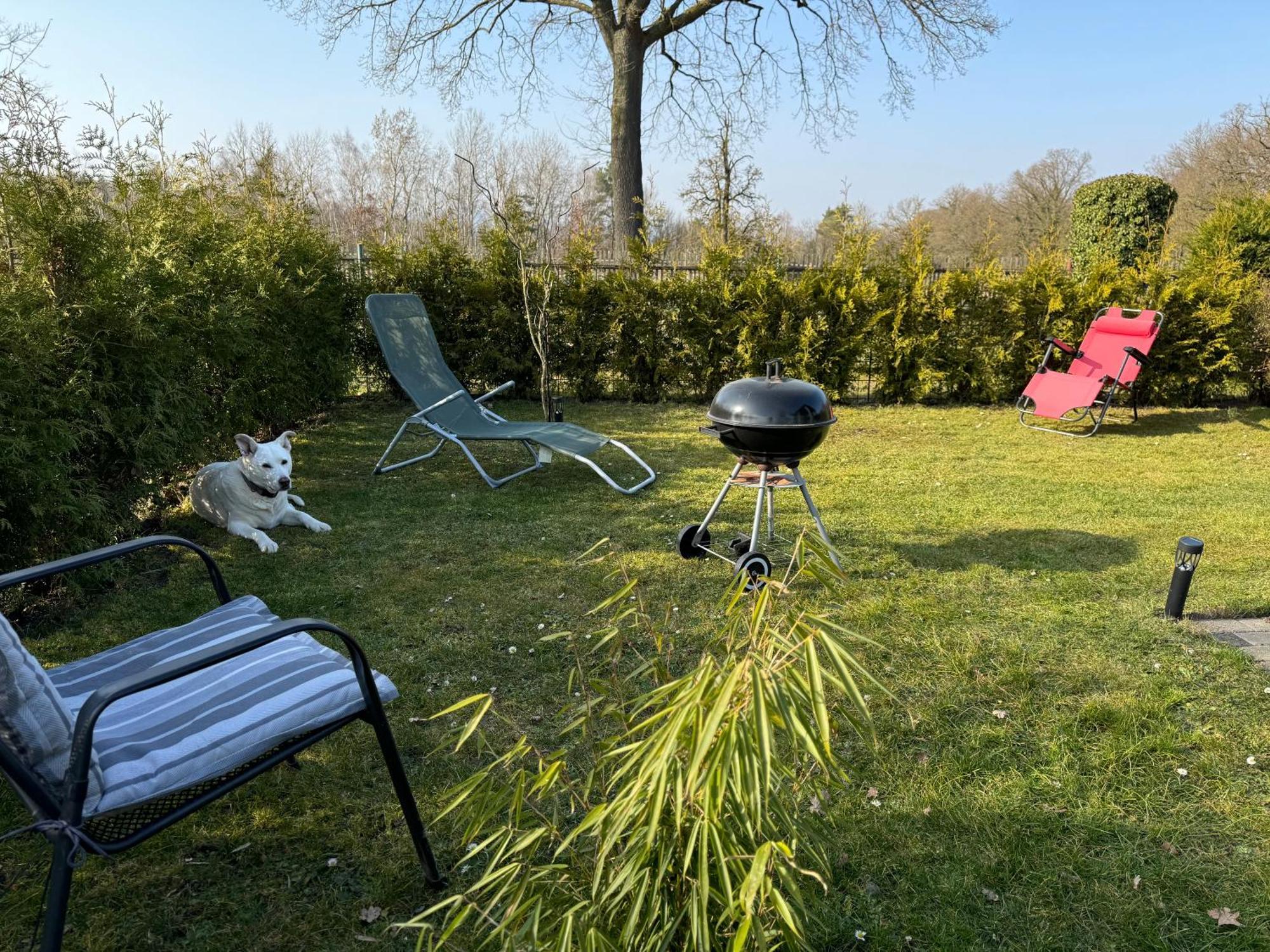 Ferienwohnung Am See Dillich - Ruhige Lage - Eigener Garten - Direkt Neben Einem Natursee Borken  Экстерьер фото