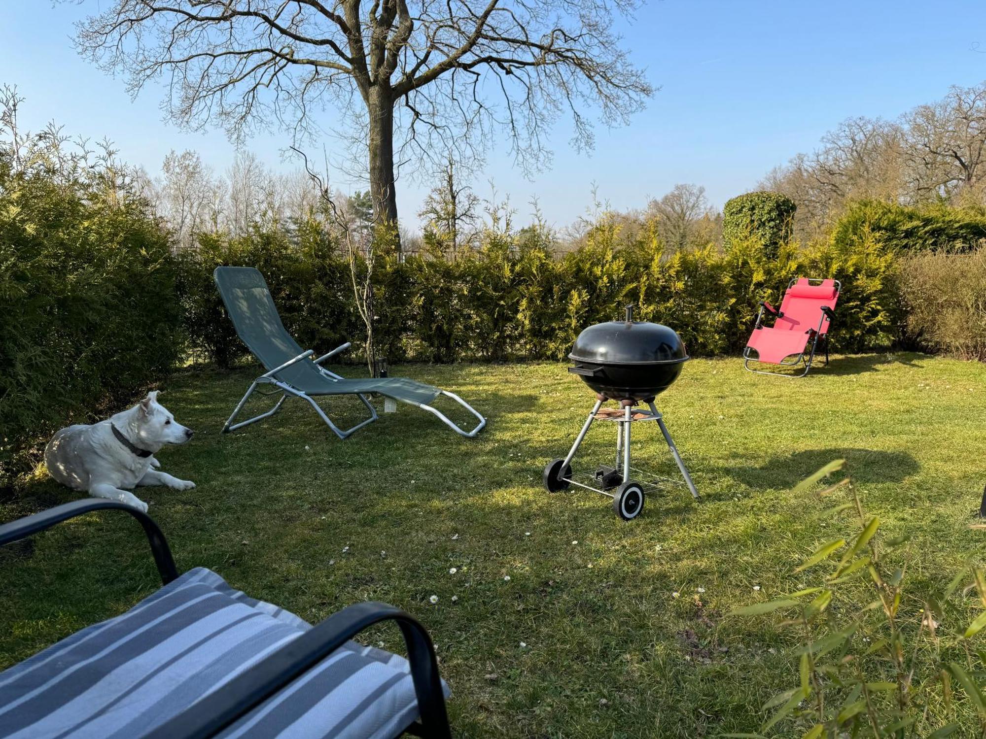 Ferienwohnung Am See Dillich - Ruhige Lage - Eigener Garten - Direkt Neben Einem Natursee Borken  Экстерьер фото