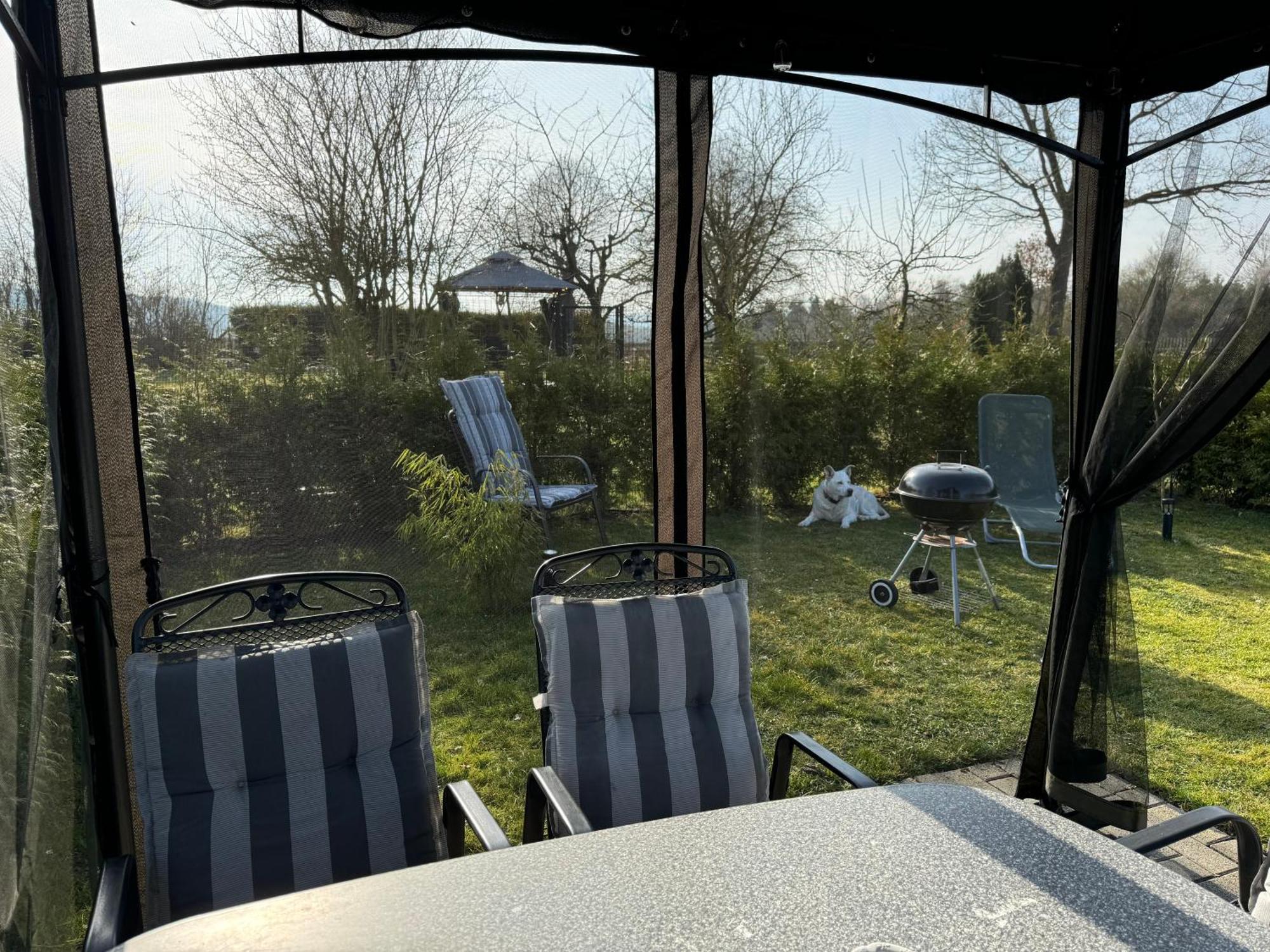 Ferienwohnung Am See Dillich - Ruhige Lage - Eigener Garten - Direkt Neben Einem Natursee Borken  Экстерьер фото